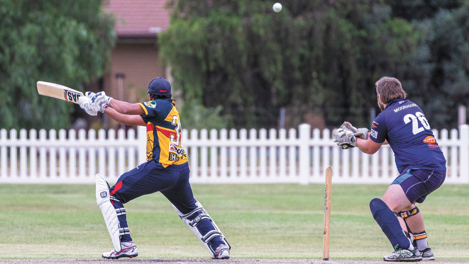 Cricket Back in the Swing