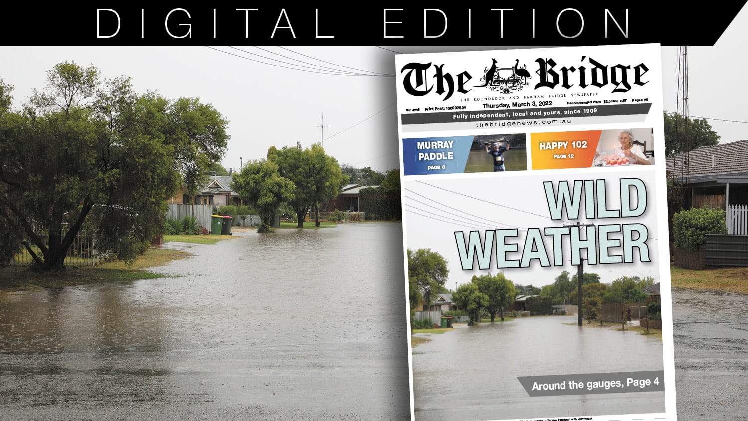 Thursday, March 3, 2022