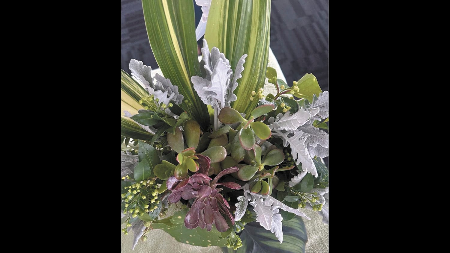 Garden Society - February 27, 2025