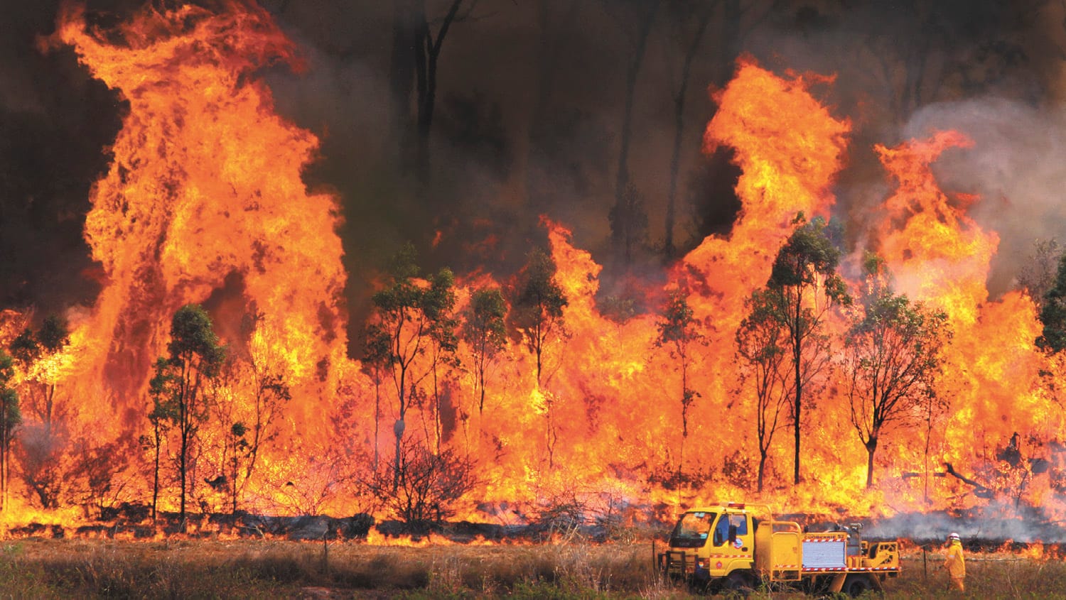 Prepare Now for Fire Season