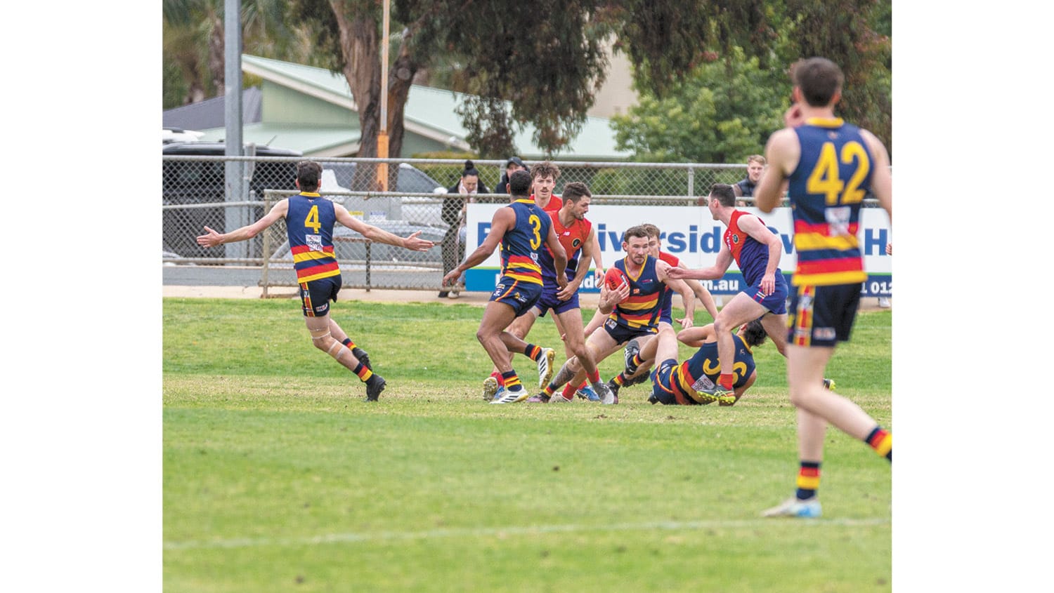 CMFL Weekly Wrap - 4 September, 2025