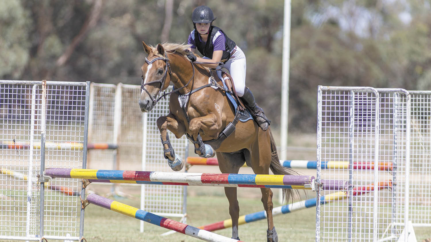 Wakool Show: Show Me!