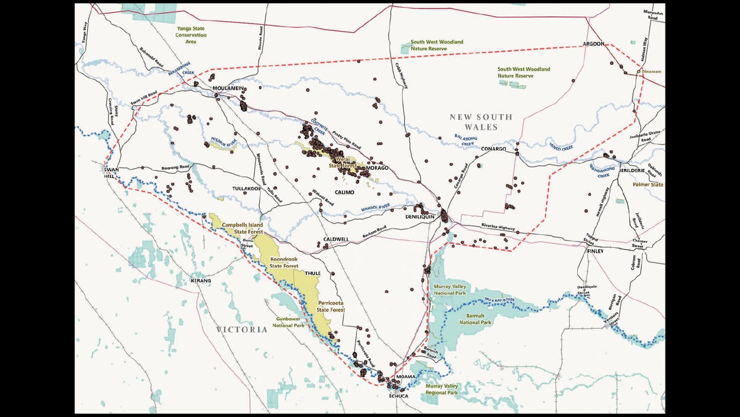 Community Unites in the Line of Fire