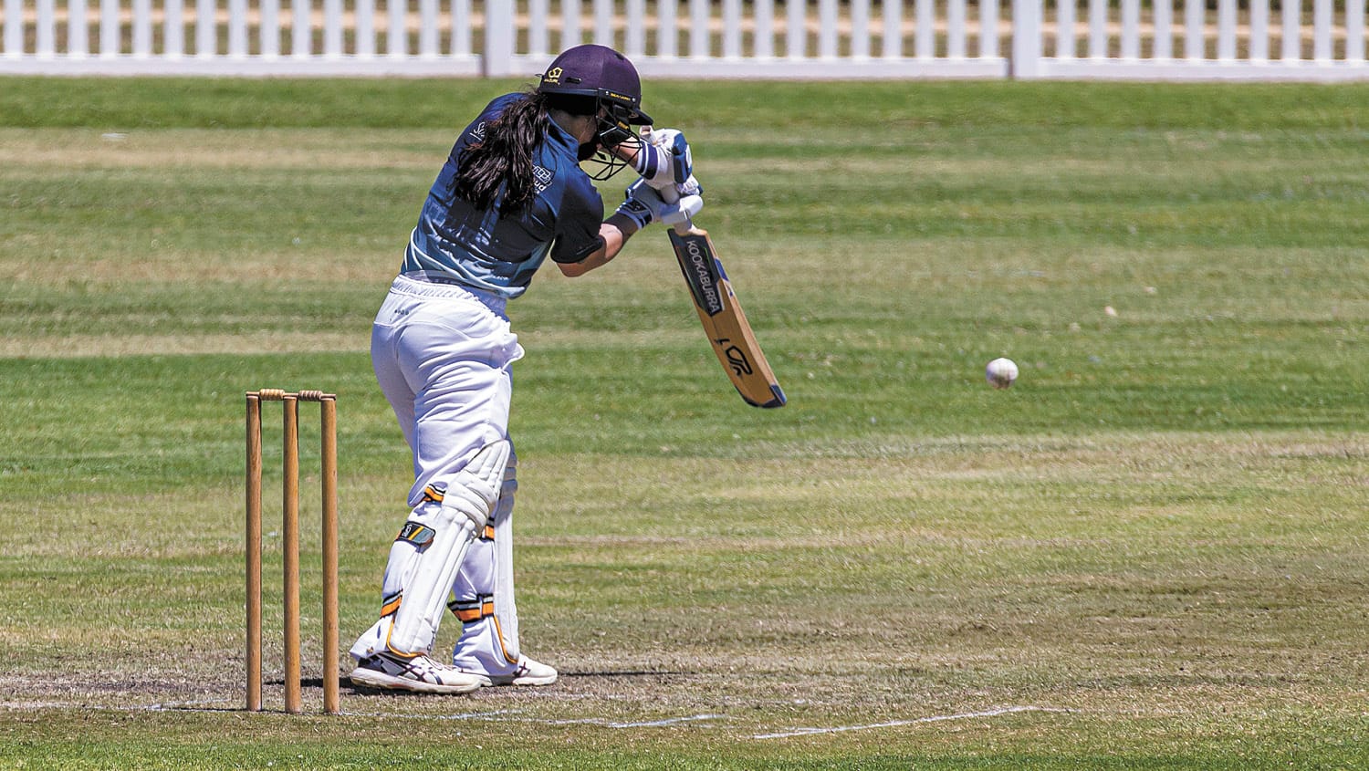 Ladies Cricket Smash