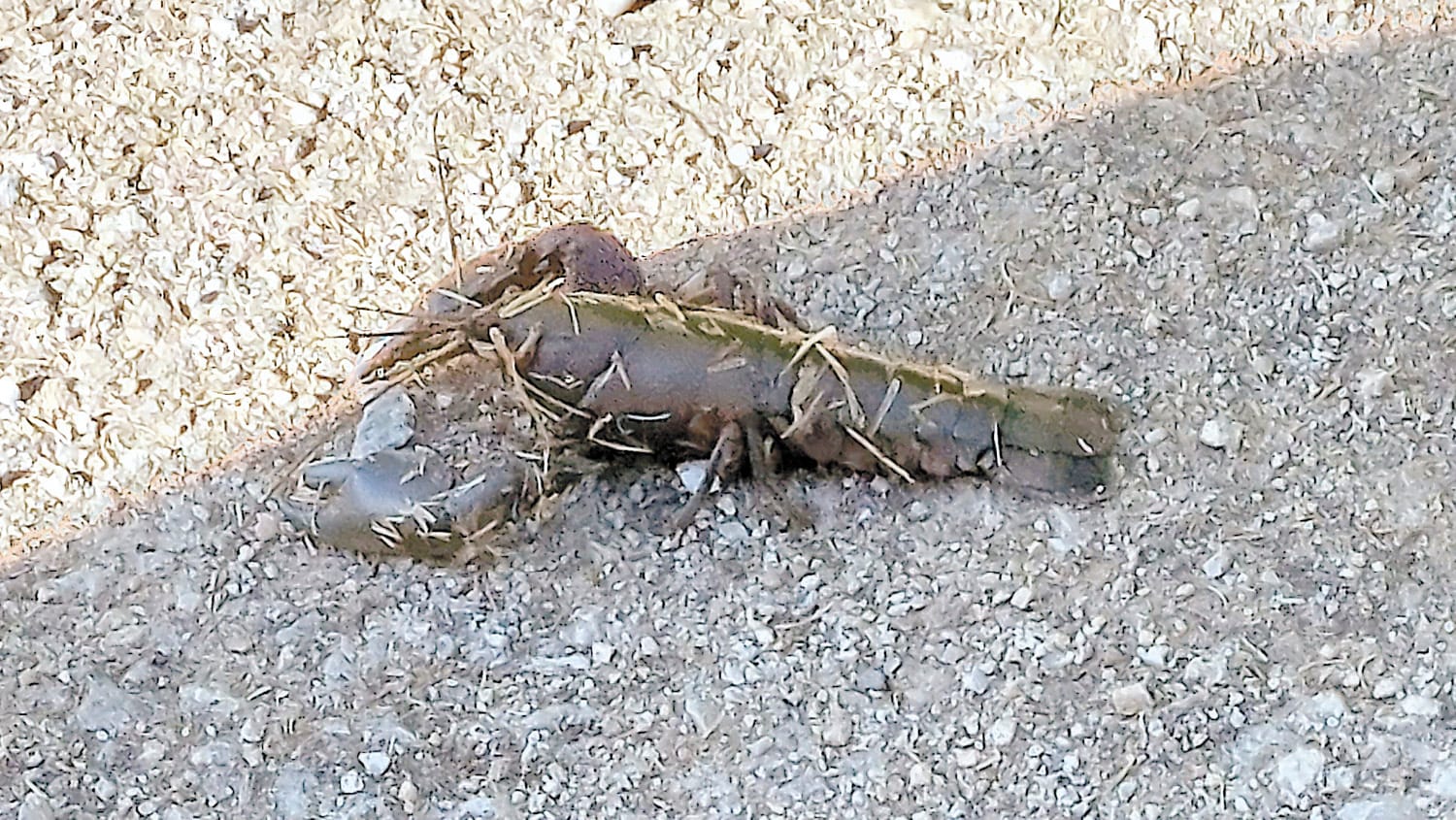 Slip Slop SPLAT (almost)