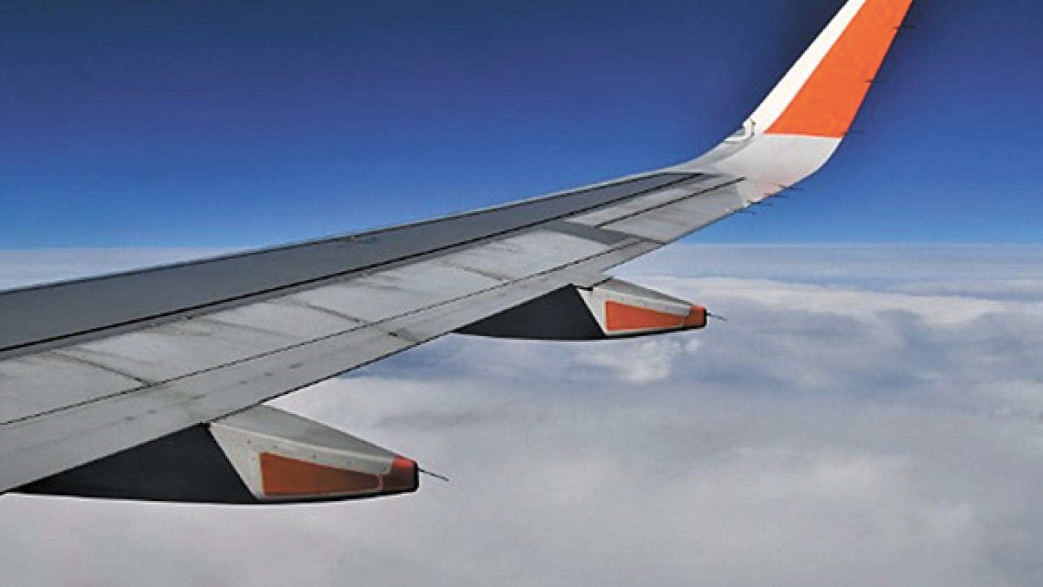 Winging Our Way North