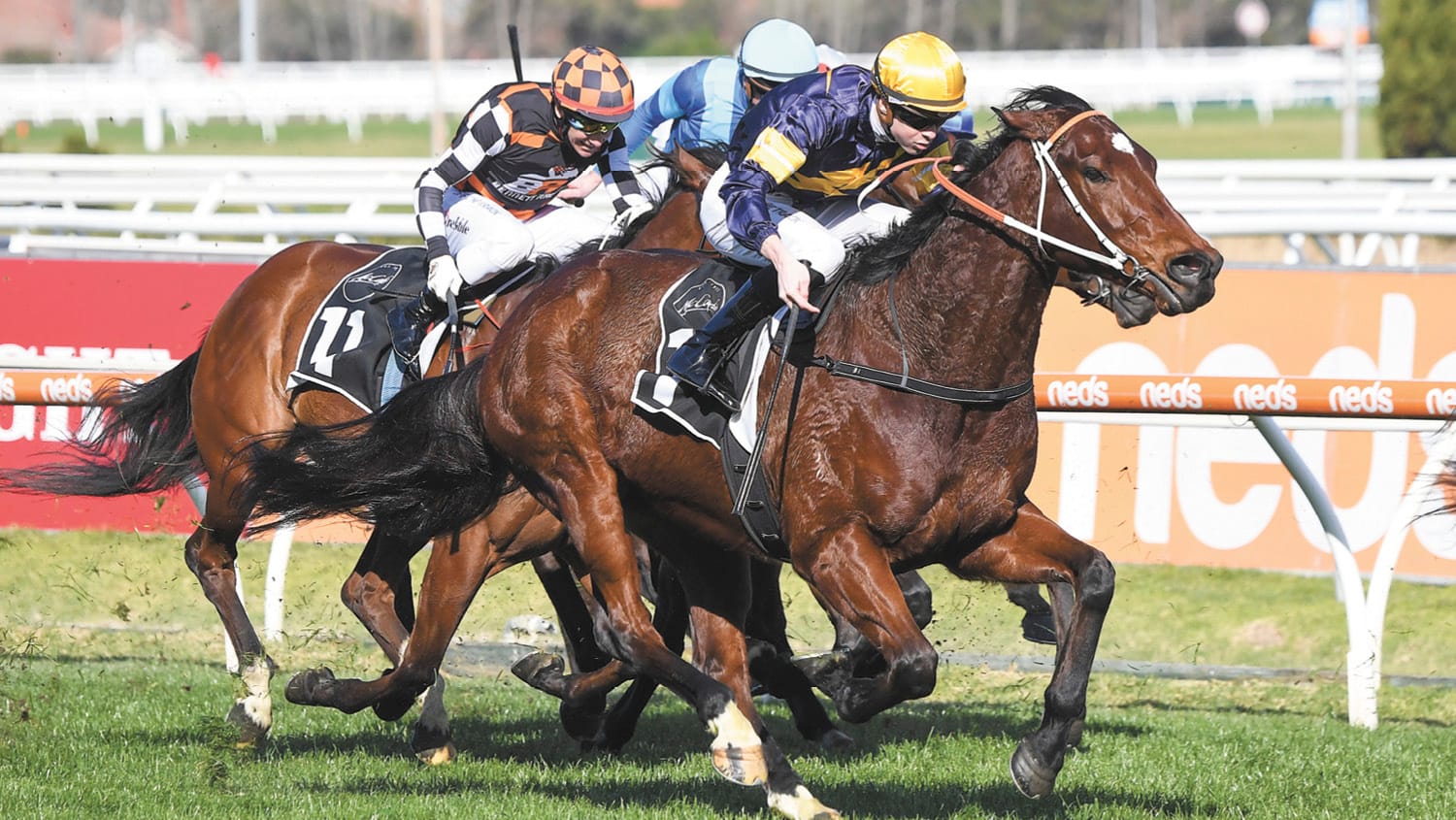 Great day at Caulfield for Jye