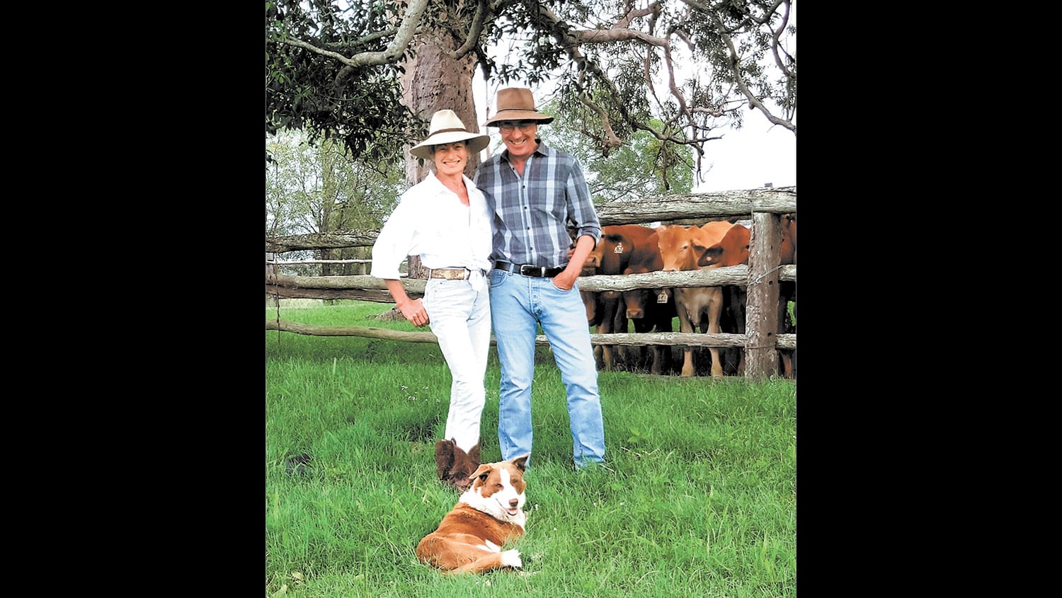 Farmers seeking to maximise their natural capital opportunities in dry times