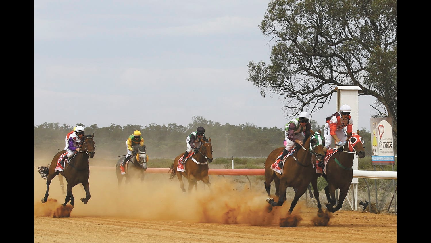 Fillies, fellas and Fascinators for the 143rd Moulamein Races