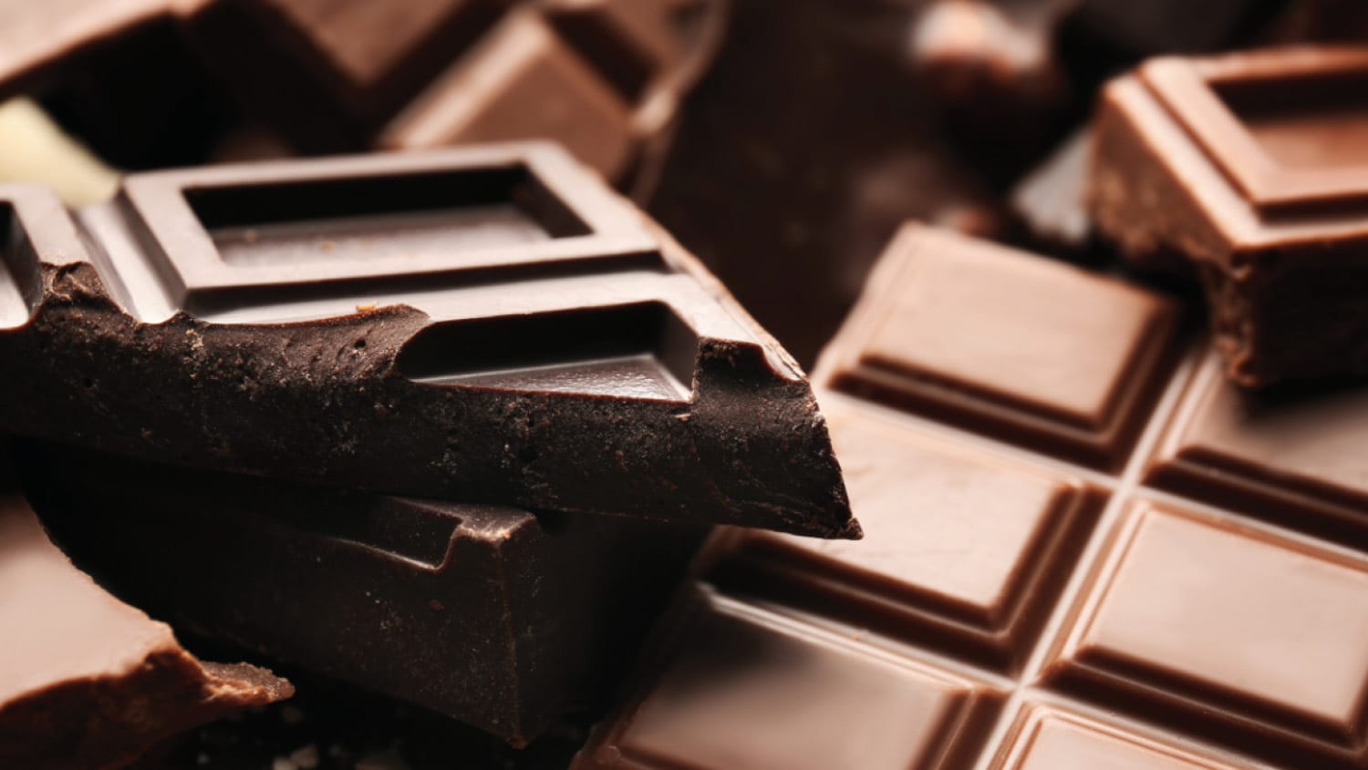 Your Wellness - August 13, 2020