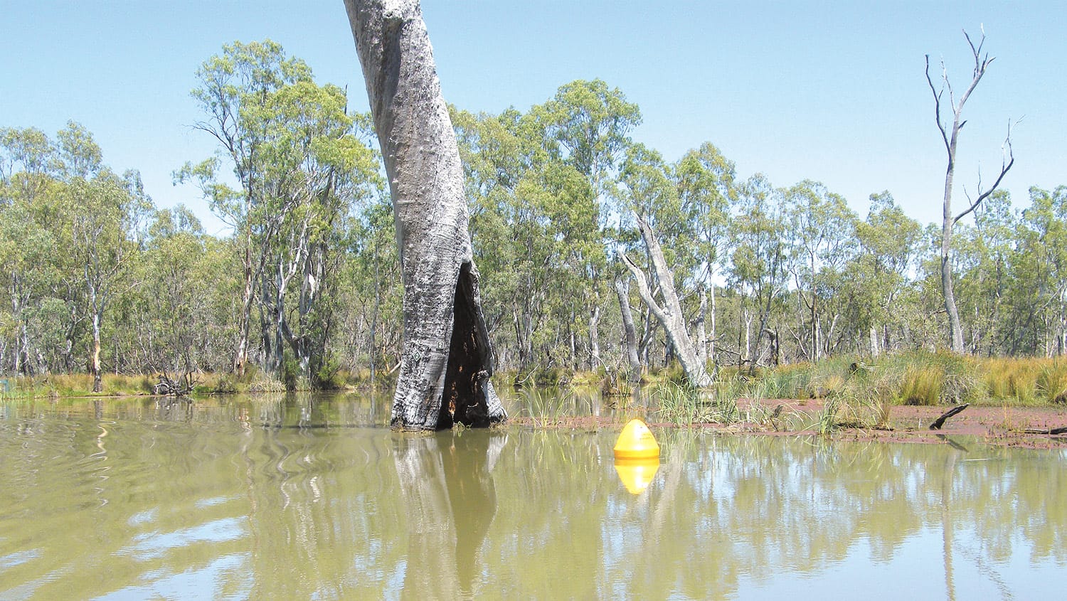 Gunbower Creek Fishways