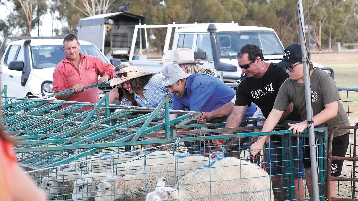 Sheep Races a Sell Out!
