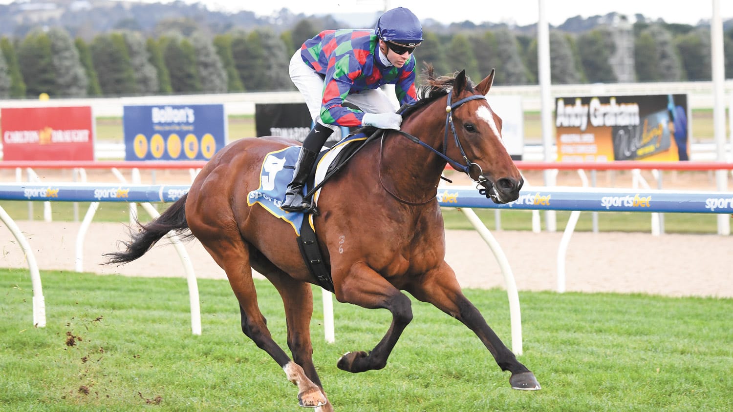 Seven More Wins for Jye McNeil