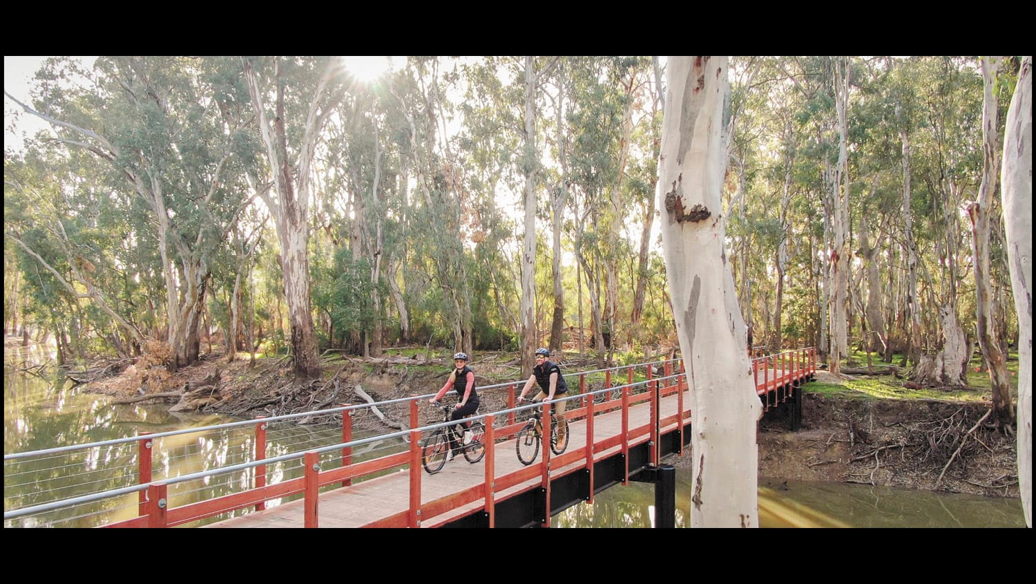 Have Your Say as Red Gum Goes Away