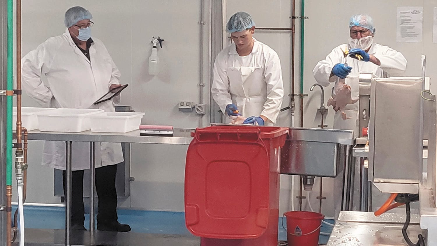 Micro Abattoir Rubber Stamped