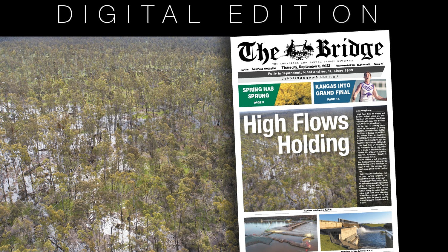 Thursday, September 8, 2022