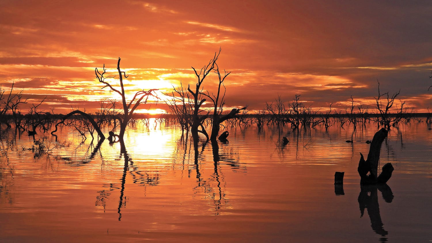 Water Transparency Bill Remains Opaque