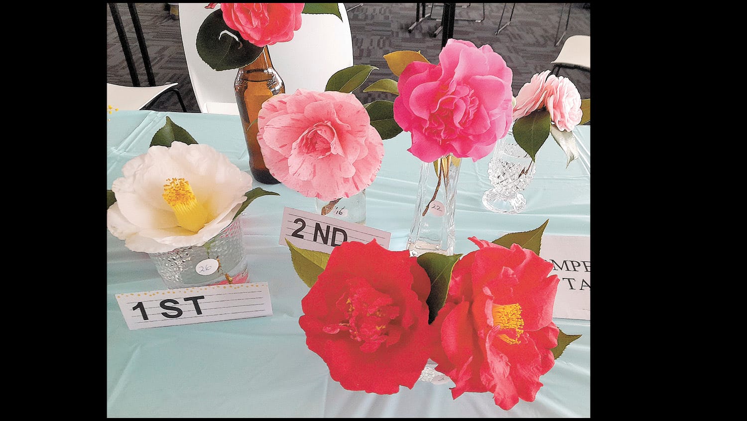 Garden Society - August 31, 2023