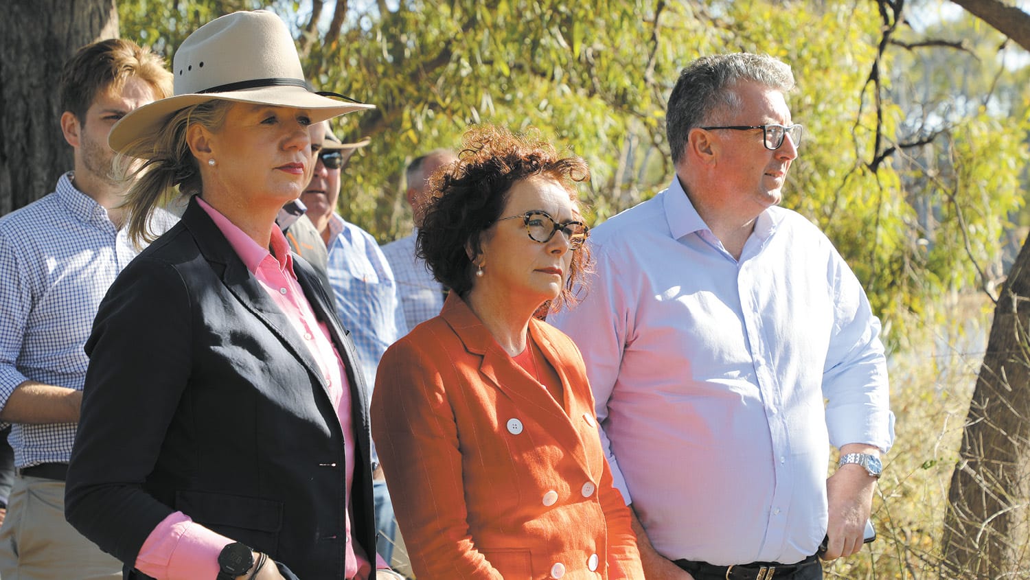 Pollies on Tour