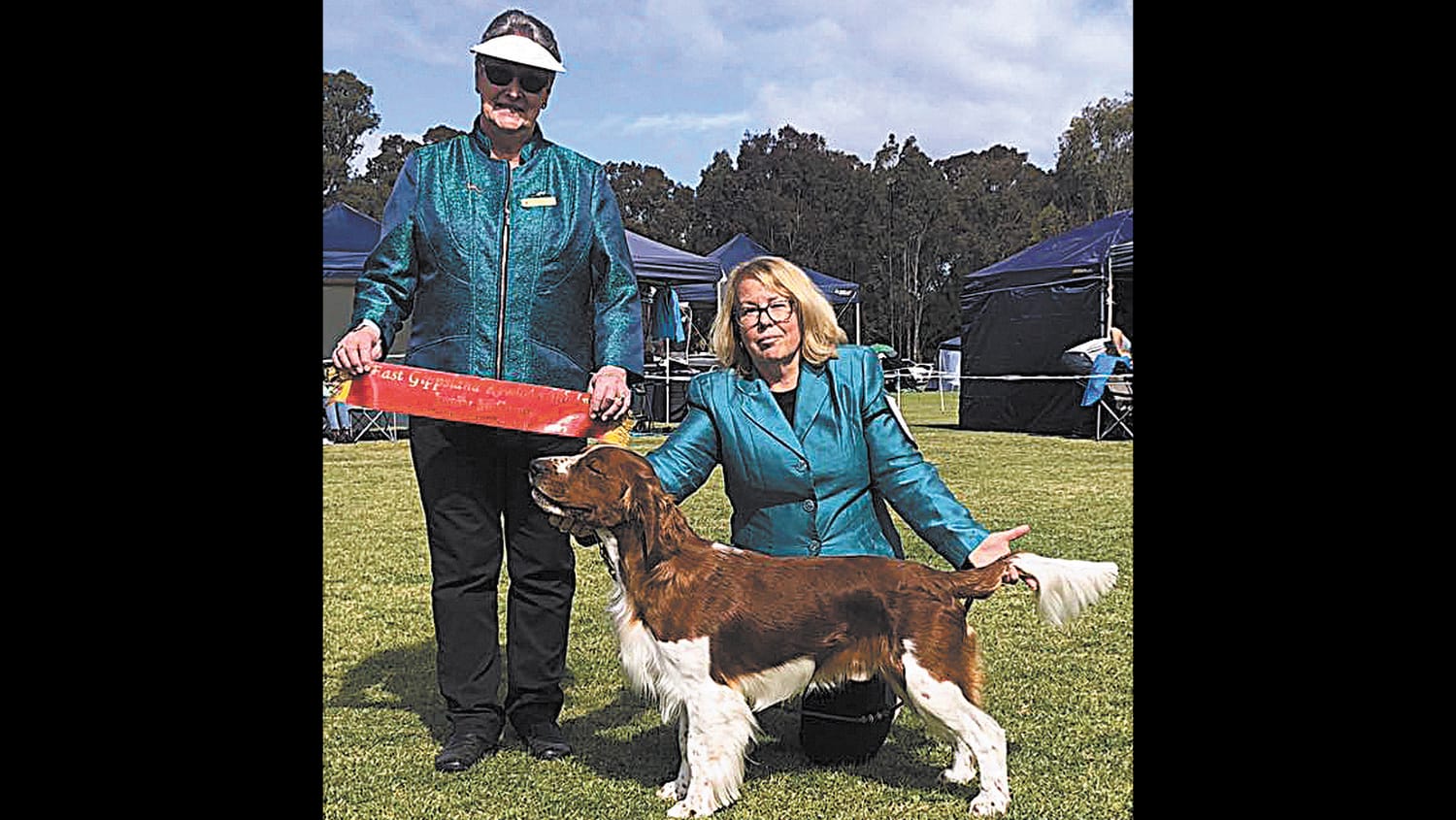 Top Dog