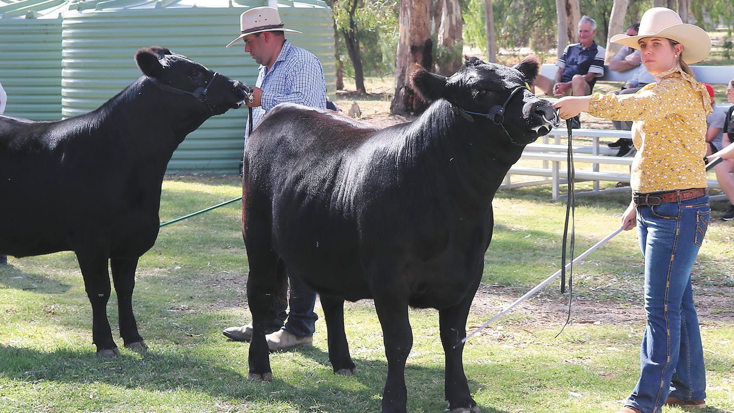 Cohuna Shows its Best