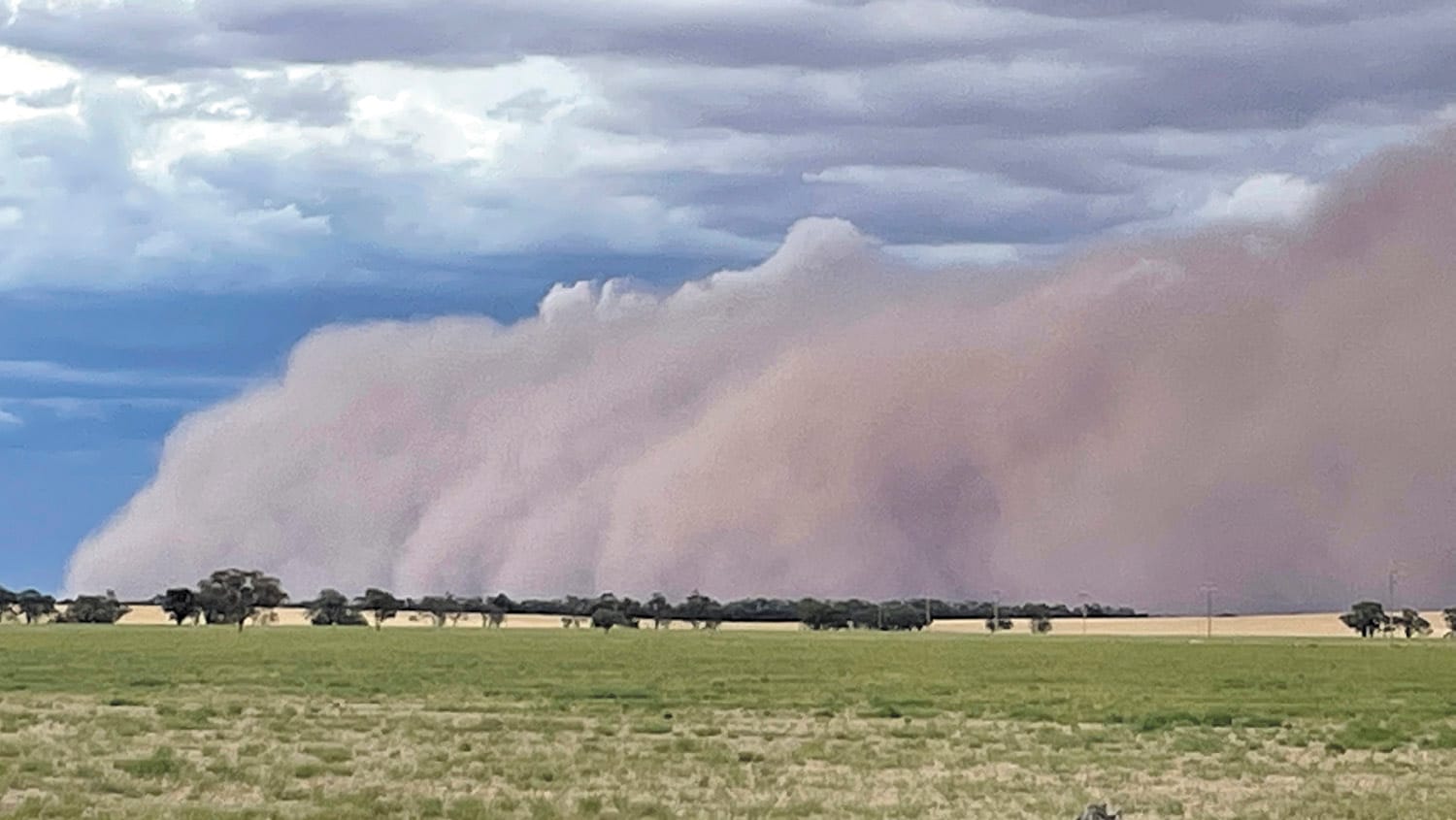 Moulamein Notebook- March 3, 2022