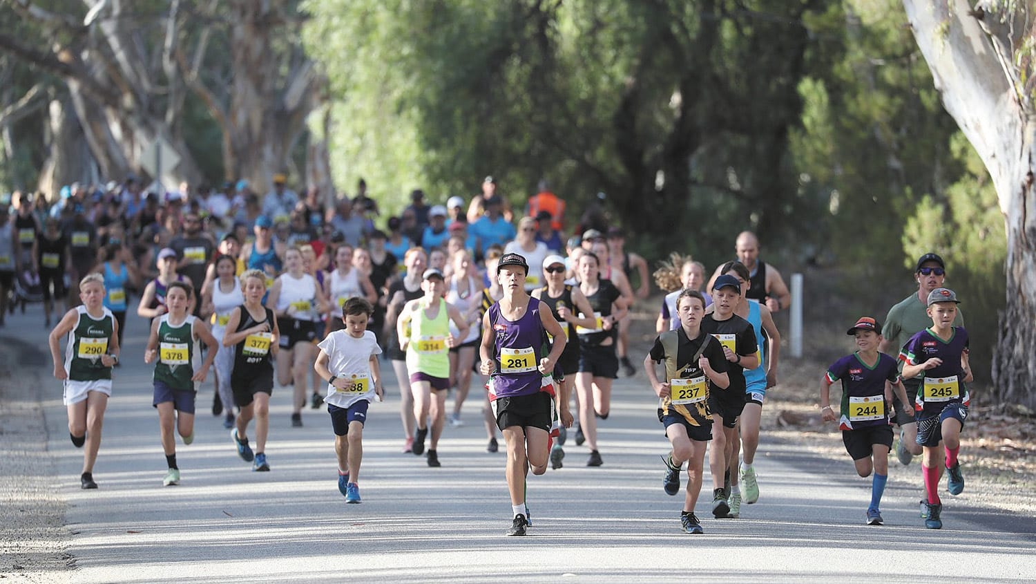 Bridge to Bridge This Weekend