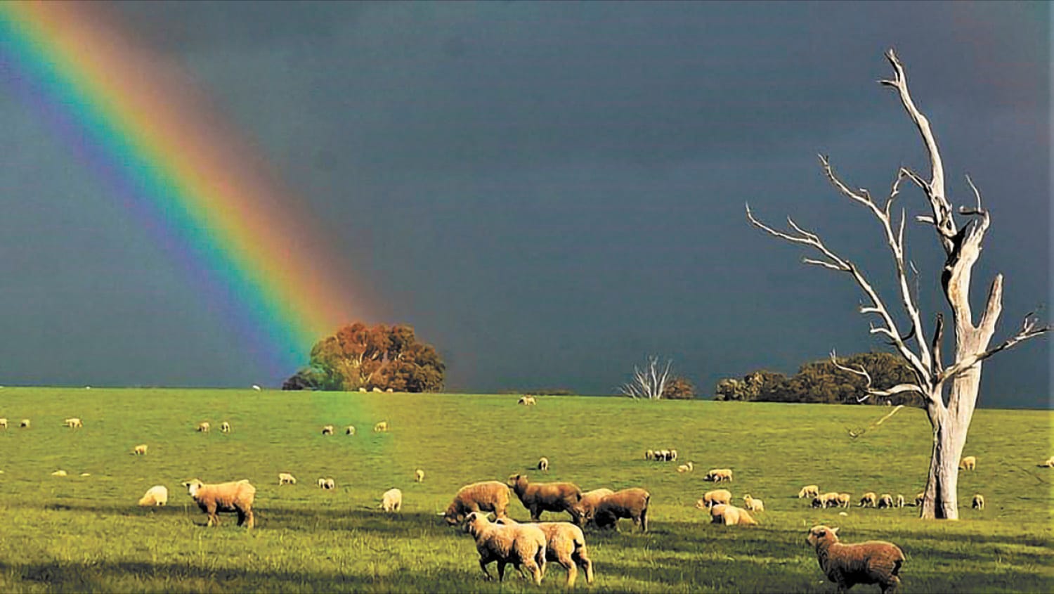 Thunder, Lightning, then a Rainbow!