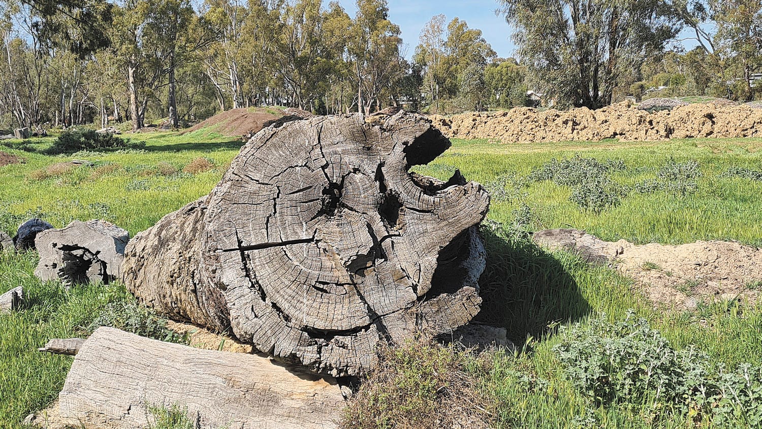 :-) Smilezone - September 16, 2021