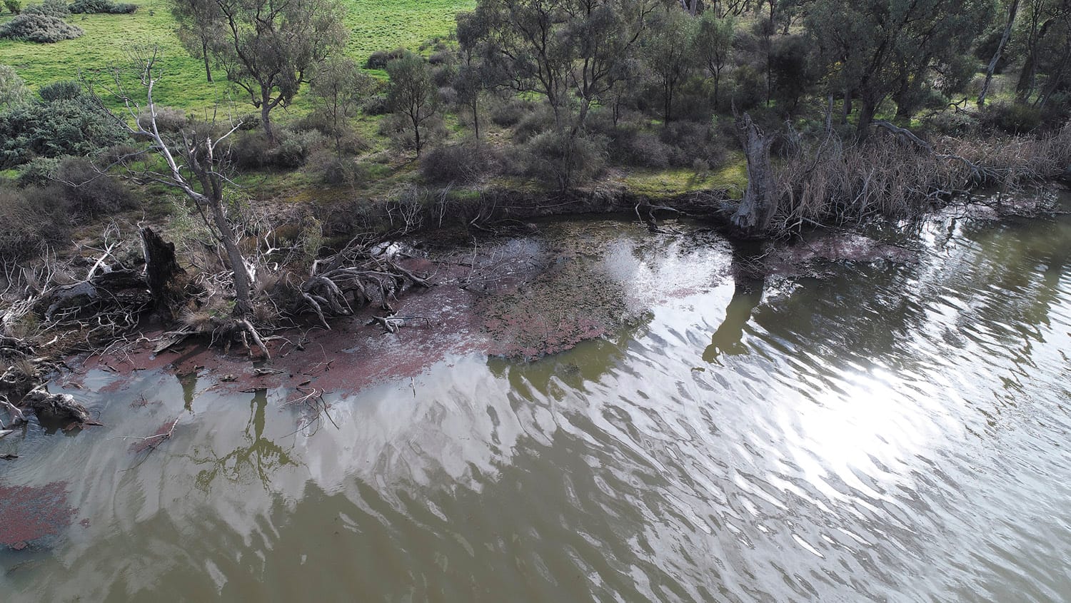 Recent Fish Deaths Reignite Management Frustration - part 2