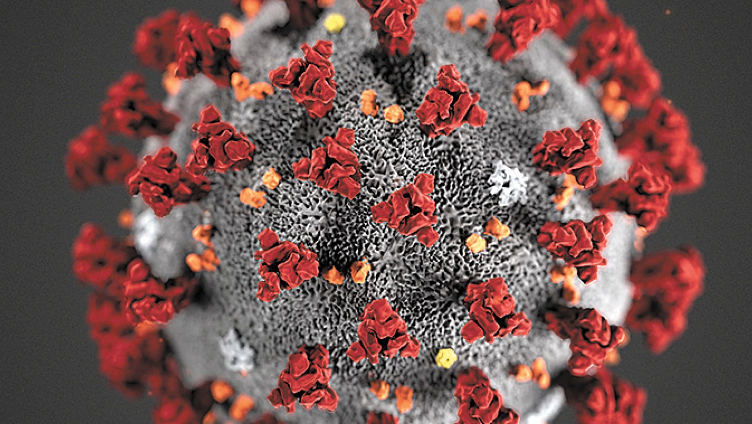 Covid Vaxx Discrimination Bill Deadline Extended