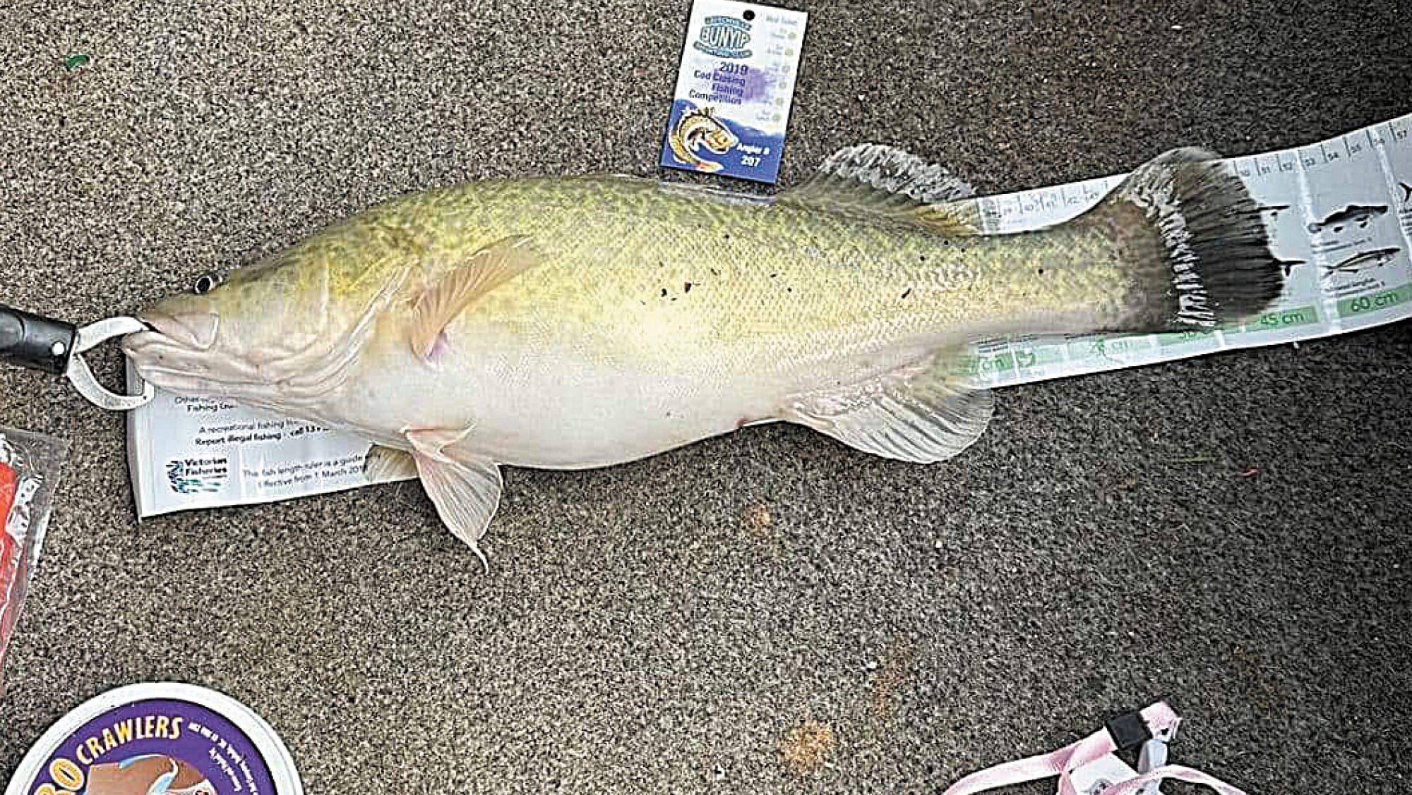 Cod Closing Competition Concluded