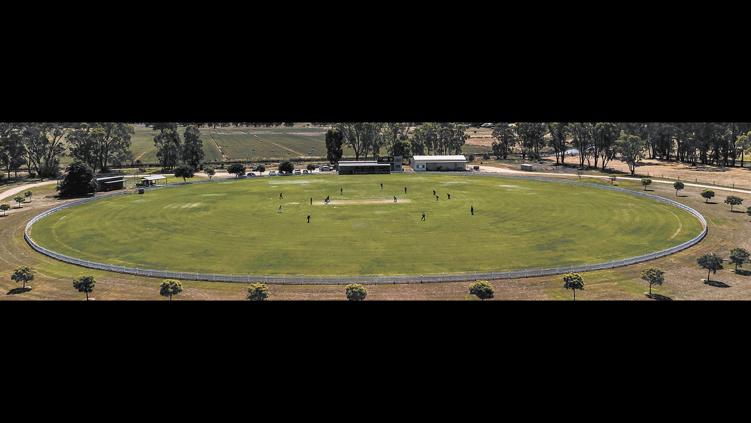 Over 60s Cricket Carnival Returns