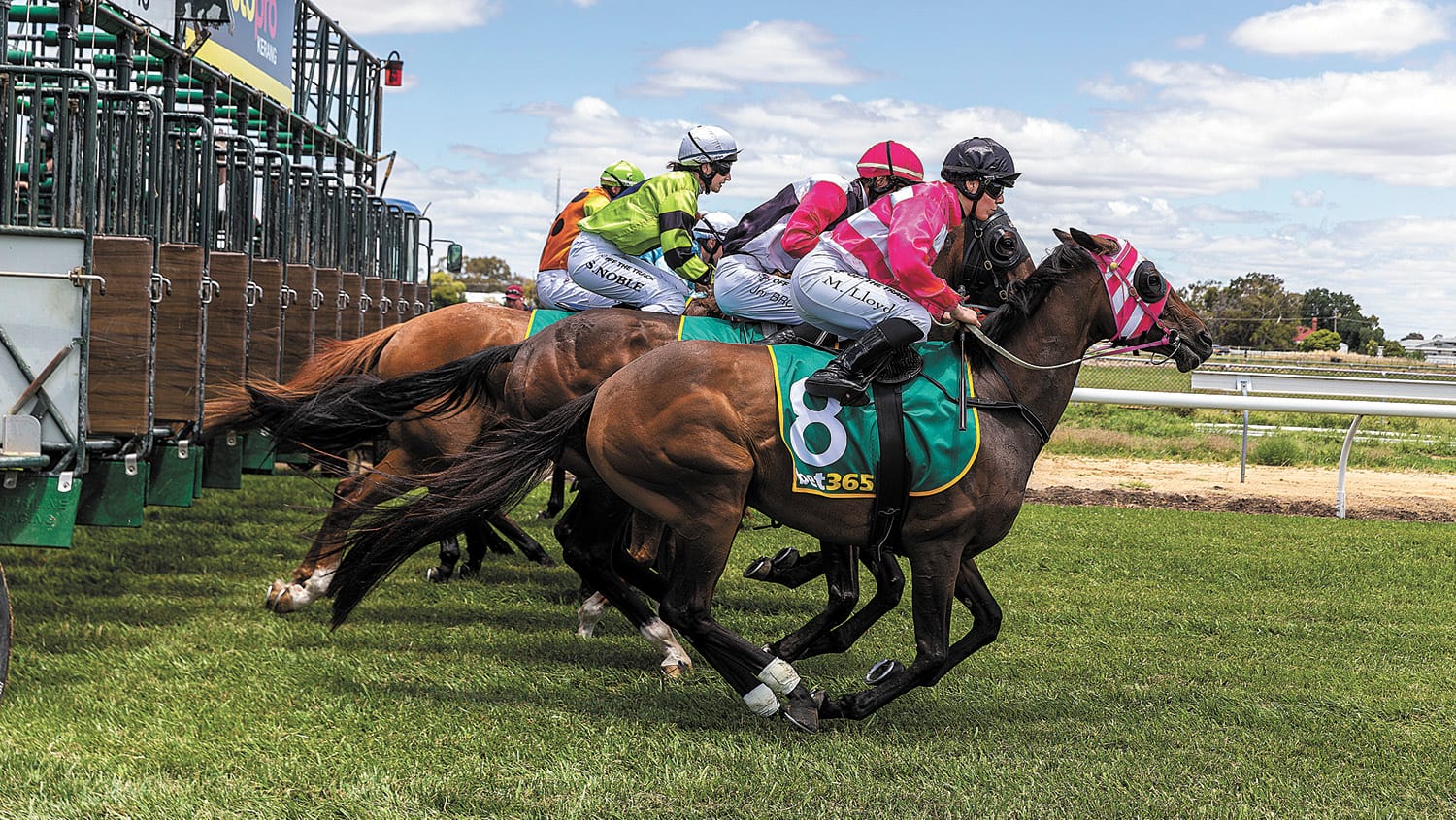 New Date, No Worries