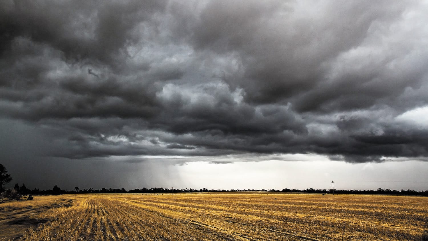 One of the biggest risks for farmers can’t be seen...