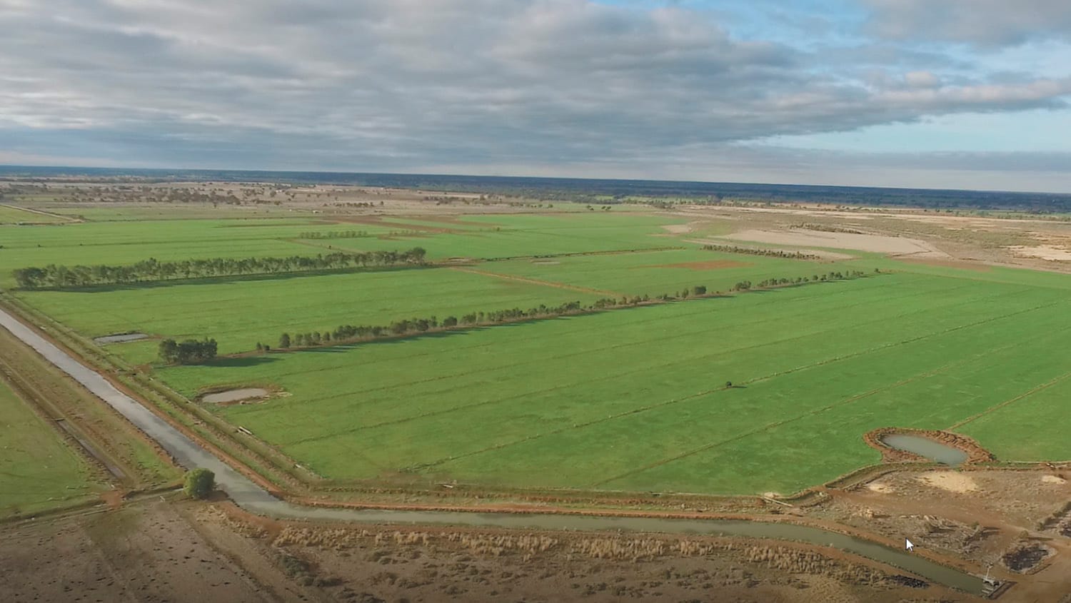 Council opposes Basin water buybacks