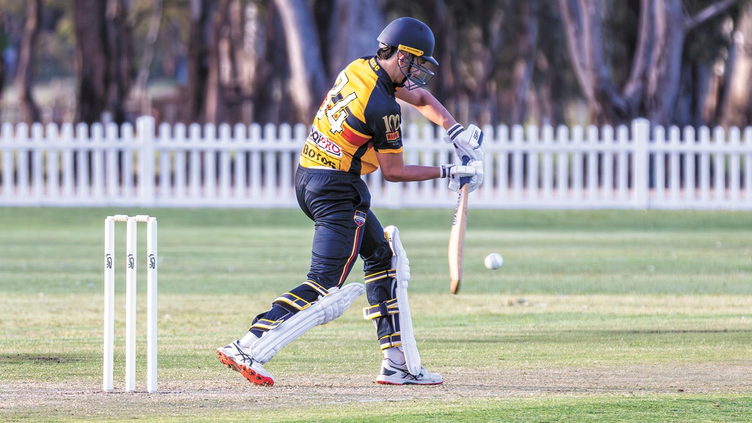 Local Cricket Returns