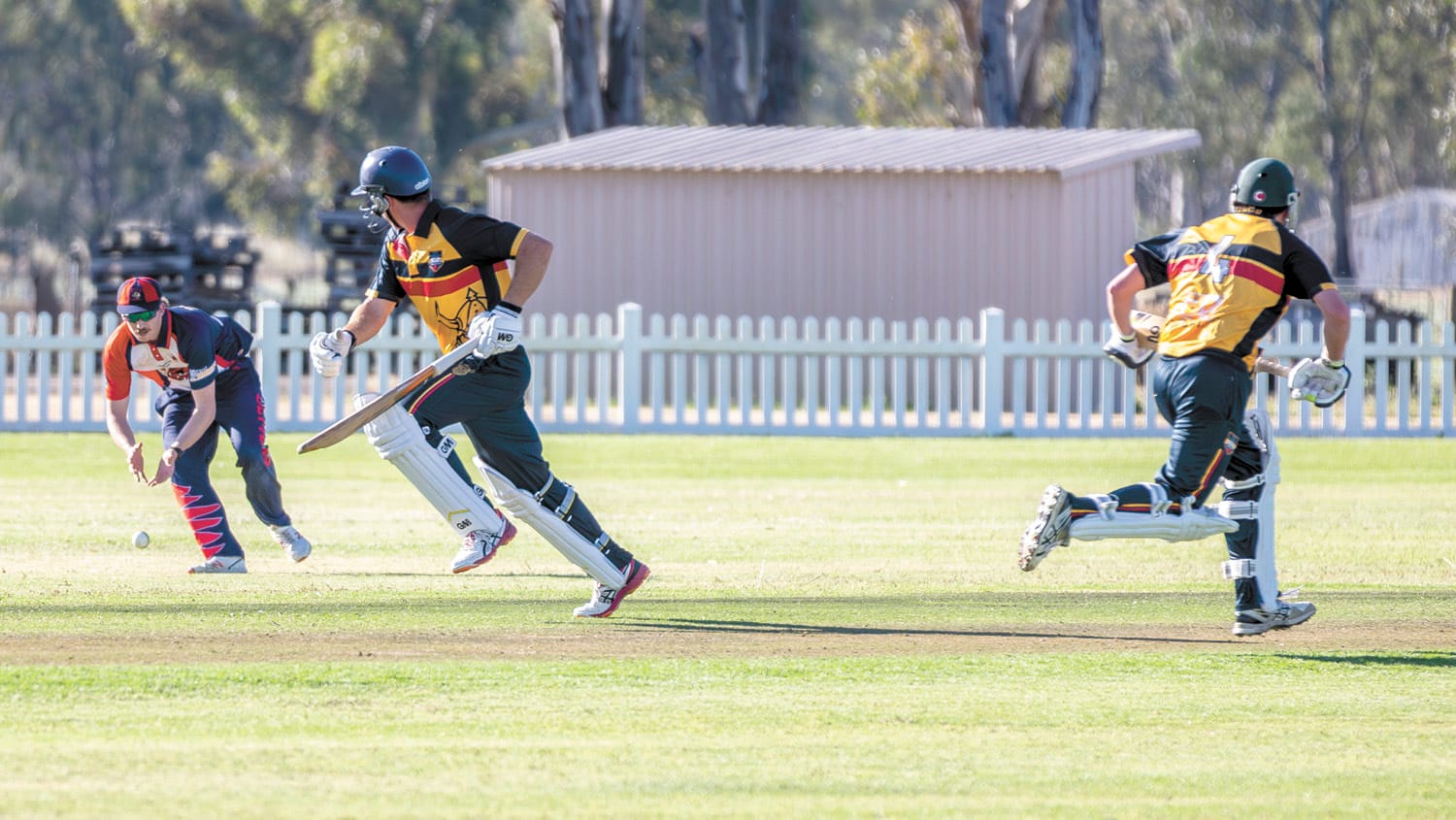 Raiders Sneak Home in Nail-Biting Three-Wicket Thriller Against Nyah District