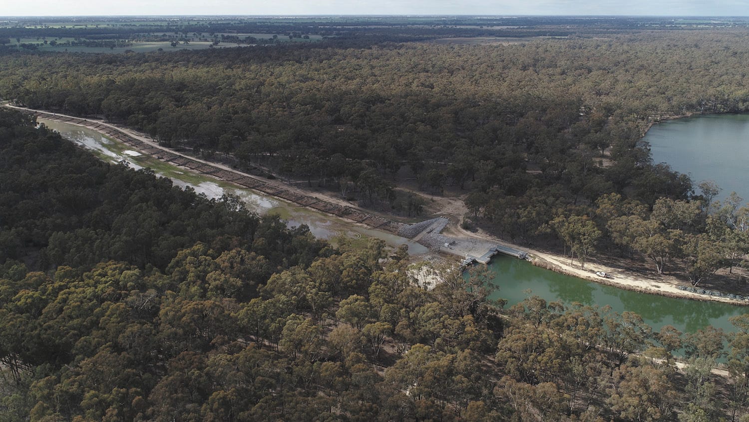 The KP Group of Forests  December report