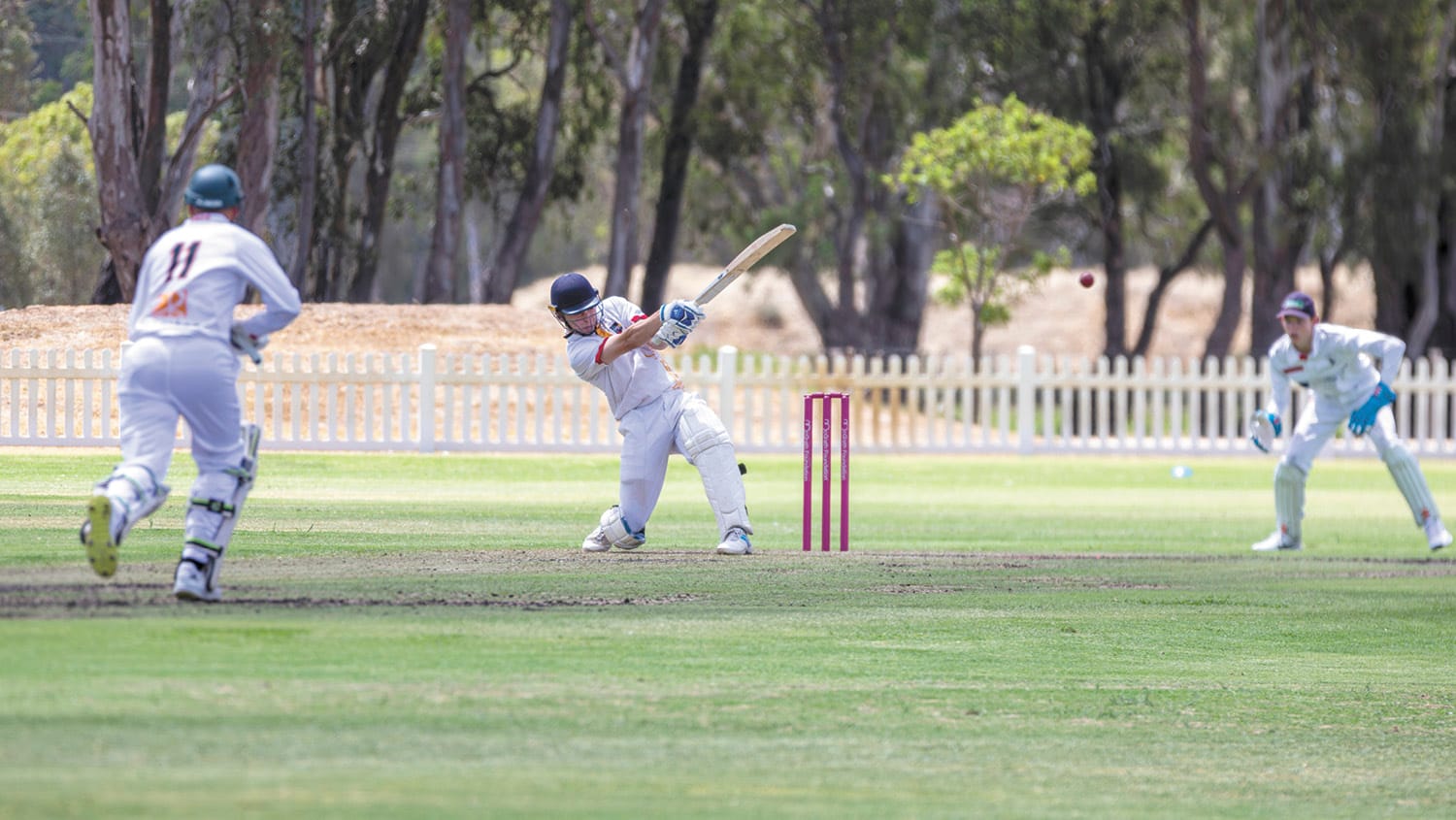 Cricket Wrap 22 January 2026