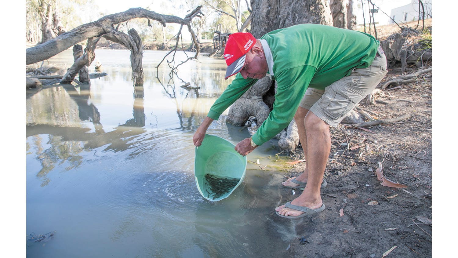90,000 fish, all in a days work