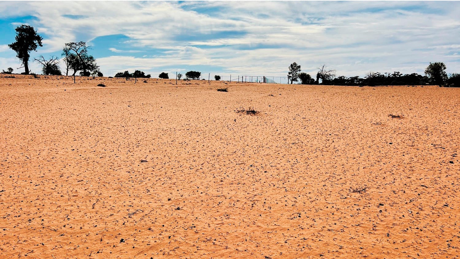 NSW Government Drought Response Welcome but Underwhelming