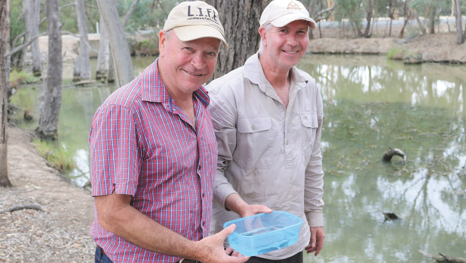 Catfish Released into Eagle Creek