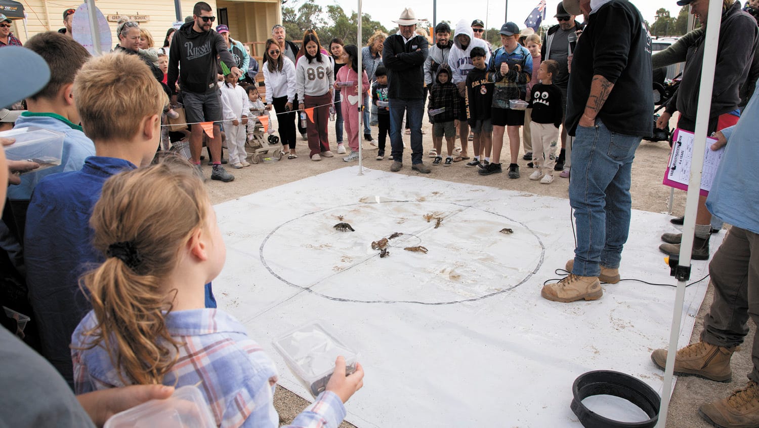 Yabby Races pull Big Crowd for Moulamein Pre-school