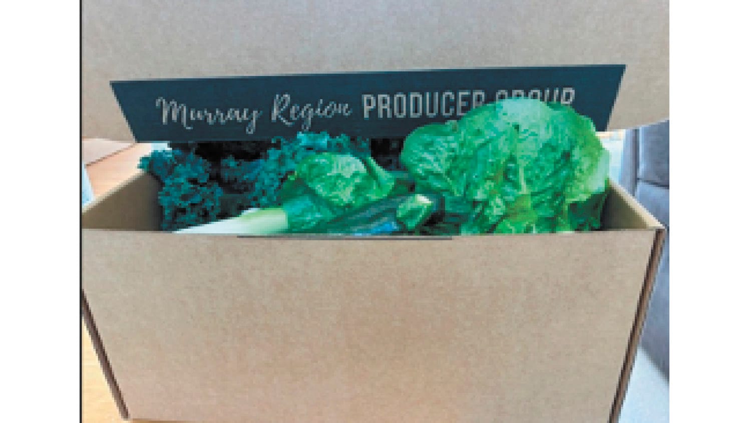 Introducing the Murray Region Producers Group: From Concept to Community Impact