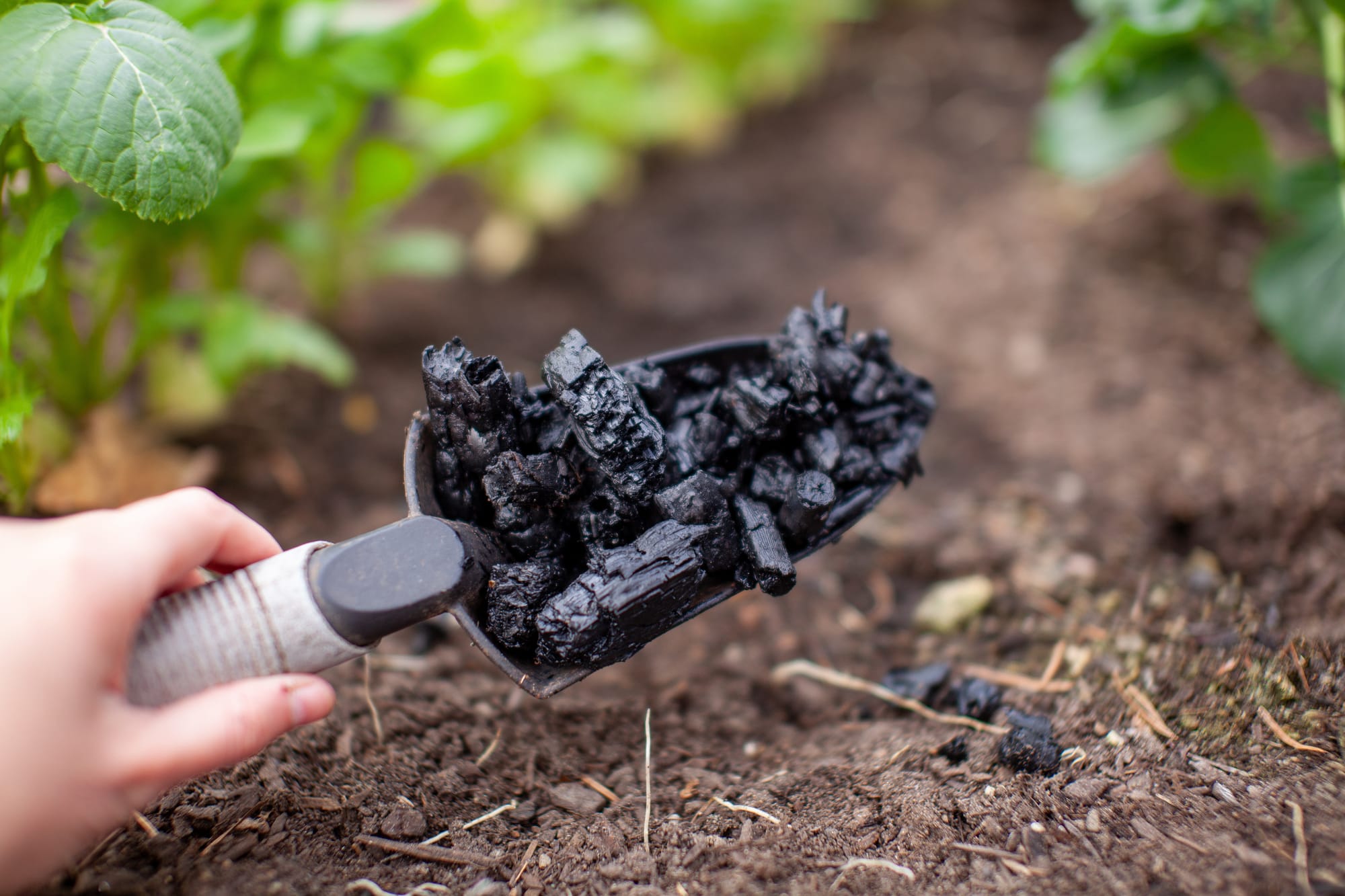Biochar workshop for local farmer