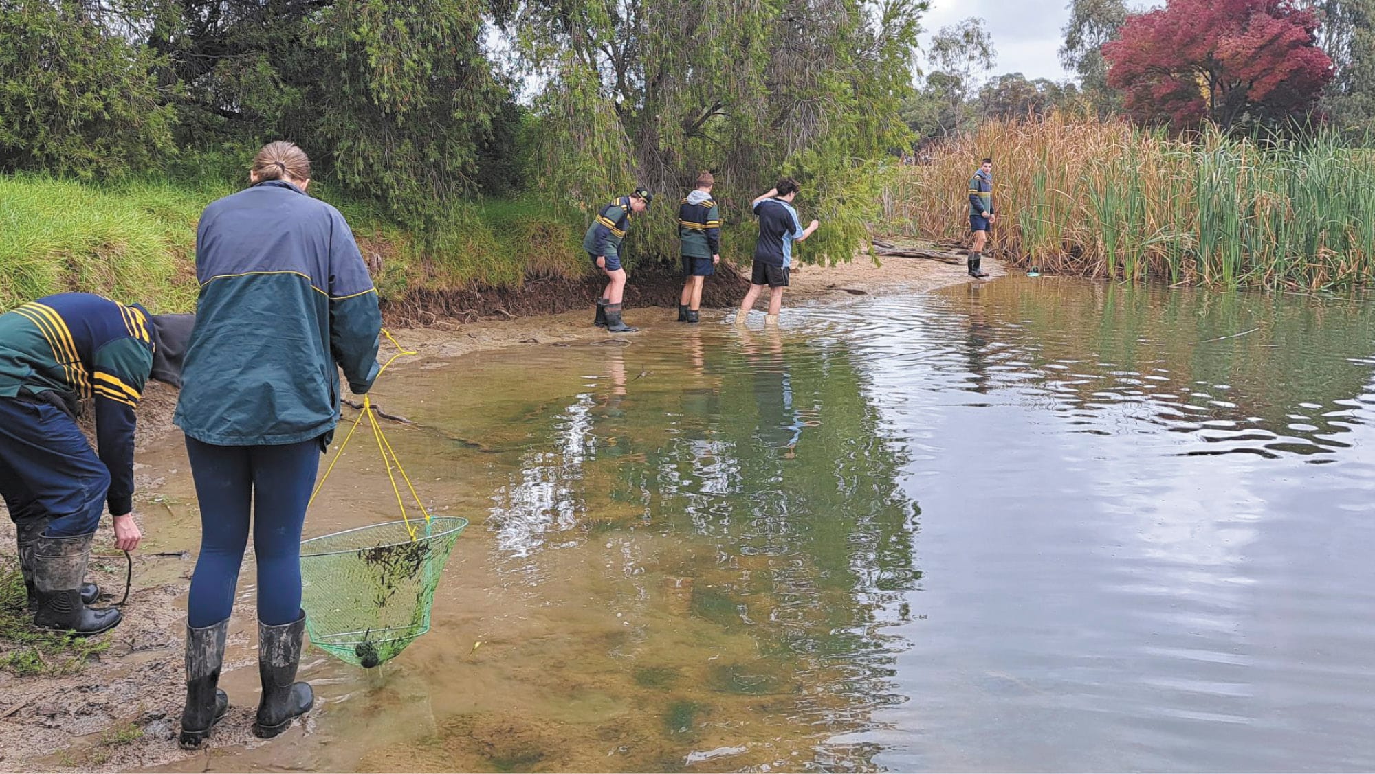 Barham High Students Swap Desks for Wetlands