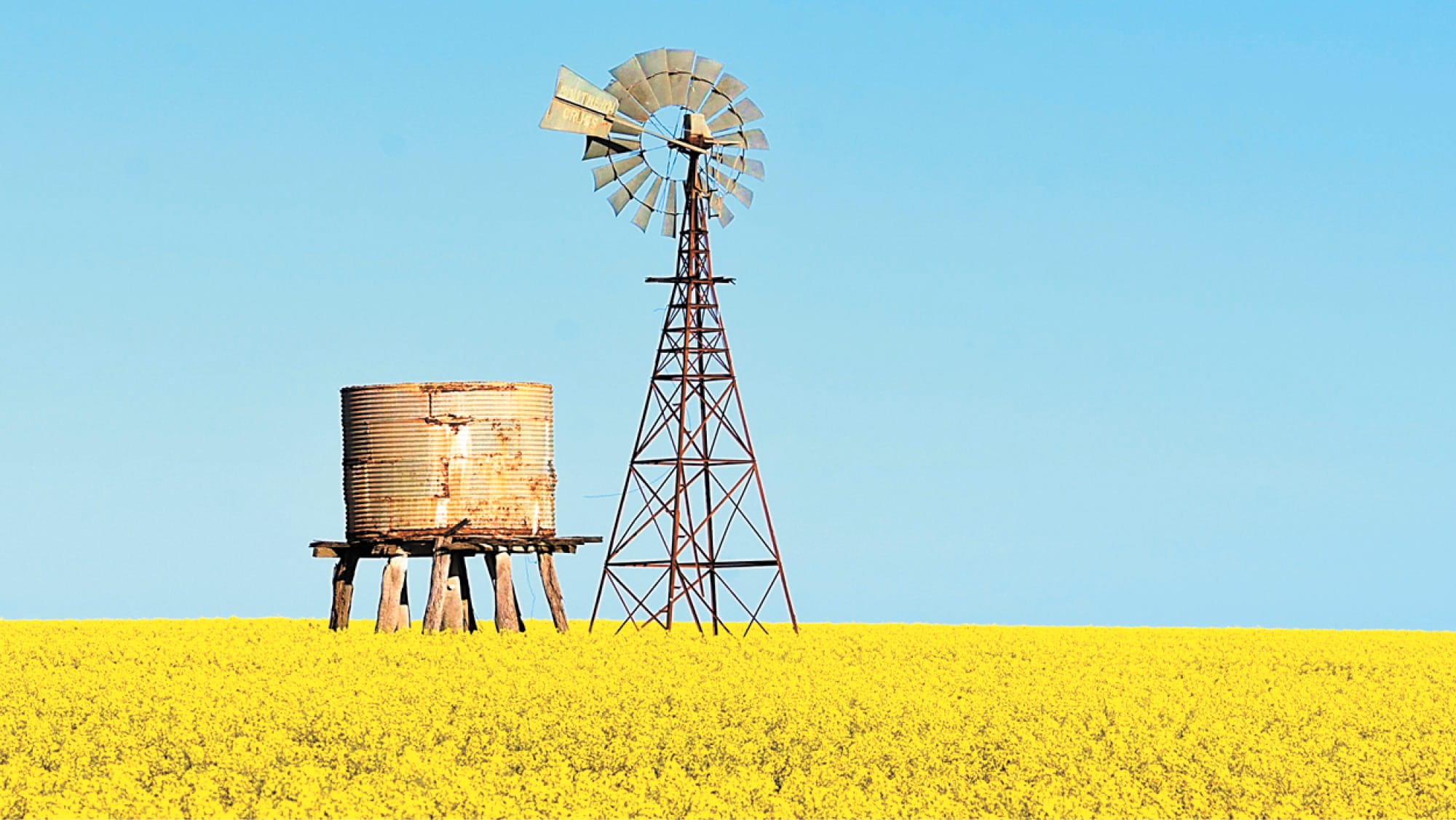 The Sights and Sounds of Spring