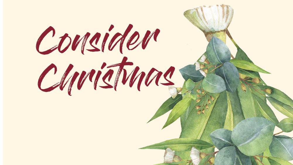 Consider Christmas (week 4) post image