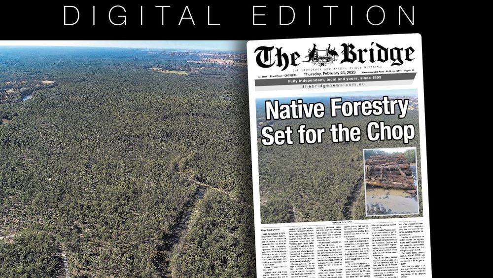 Thursday, February 23, 2023 post image